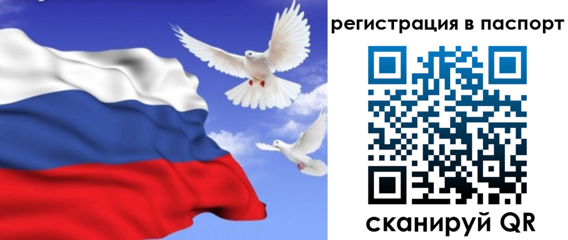 купить прописку в Камышине